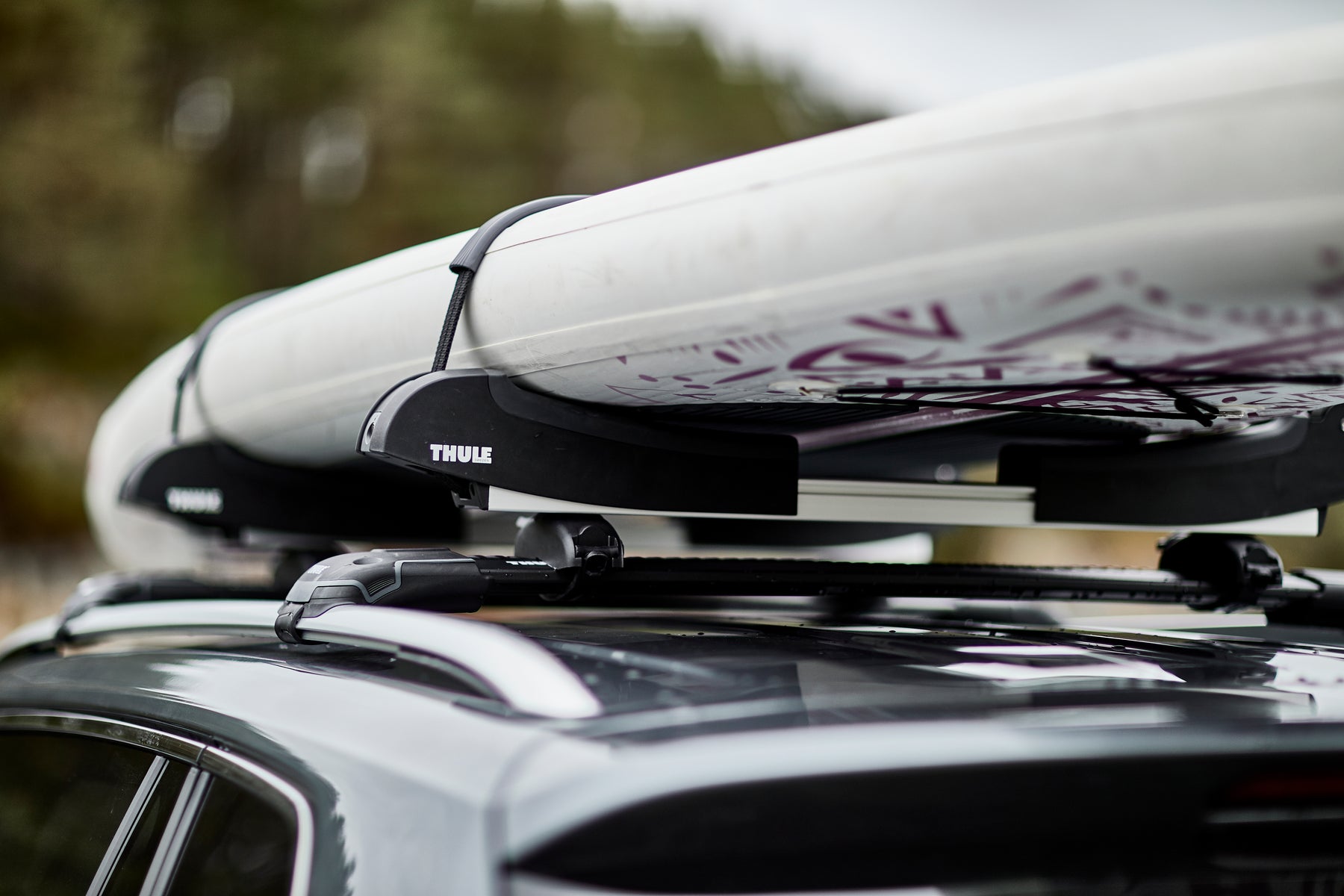 Thule - SUP Taxi XT - SUP rack black – Old Creel Canoe & Kayak